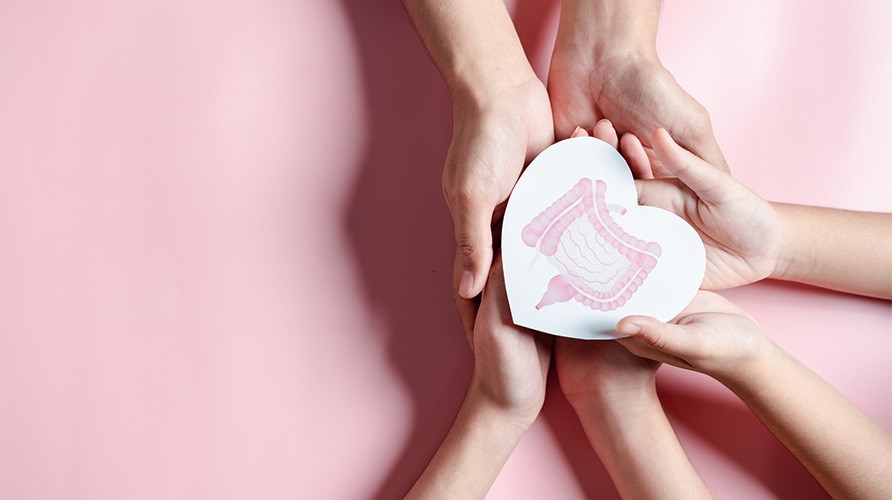 Bild på händer som håller varsamt i en illustration av tarmfloran som är formad som ett hjärta. Bild på händer som håller varsamt i en illustration av tarmfloran som är formad som ett hjärta.